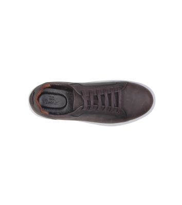 کفش چرمی روزمره مردانه Ariom Lace VI